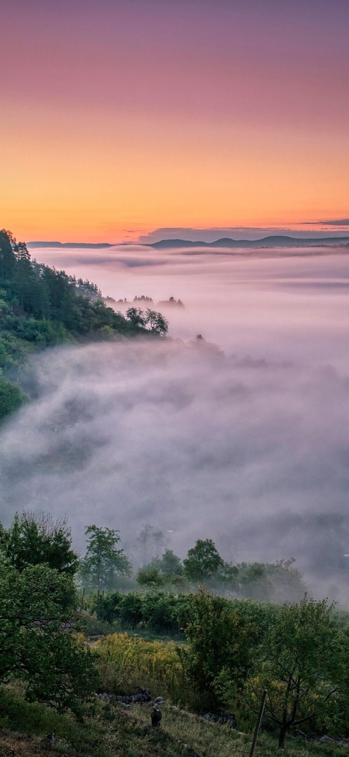 地图高德卫星地图 同一片山地区域在卫星图与路网图之间用分割线对照，左侧是绿色林地右侧是道路线条